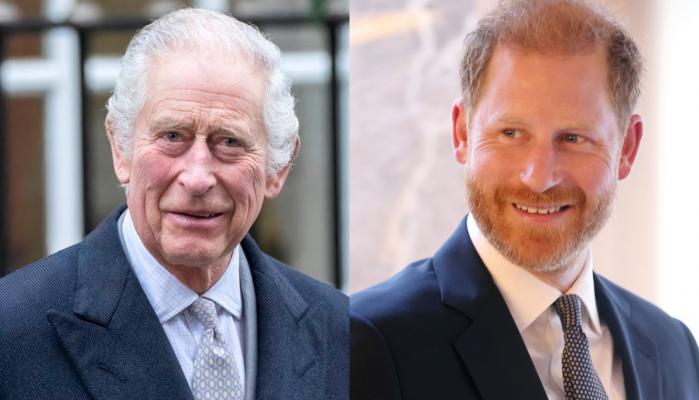 King Charles confirms Prince Harry meeting with major decision