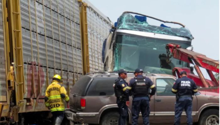 At least 10 killed, more than 60 injured in Mexico after freight train collapses with double decker bus, smashing it into two