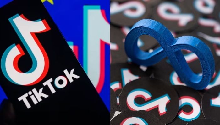 Meta, TikTok win legal battle against European Union