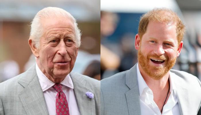 King Charles releases statement after Harrys surprise visit to Palace
