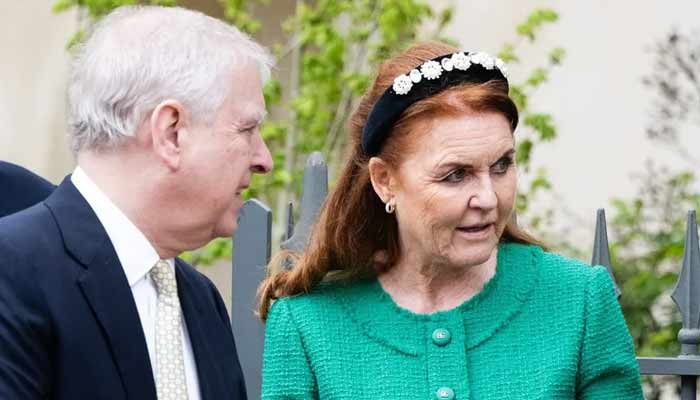 Sarah Ferguson dropped by multiple charities over Epstein link
