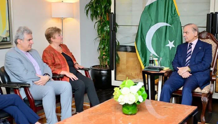 IMF review must account for flood devastation: PM