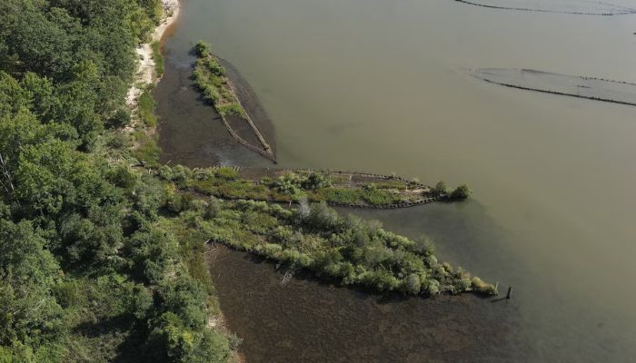 Scientists discover ocean life thriving on sunken WWII explosives