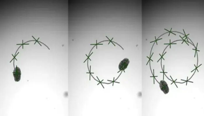 Scientists build innovative biobots powered by human lung cells