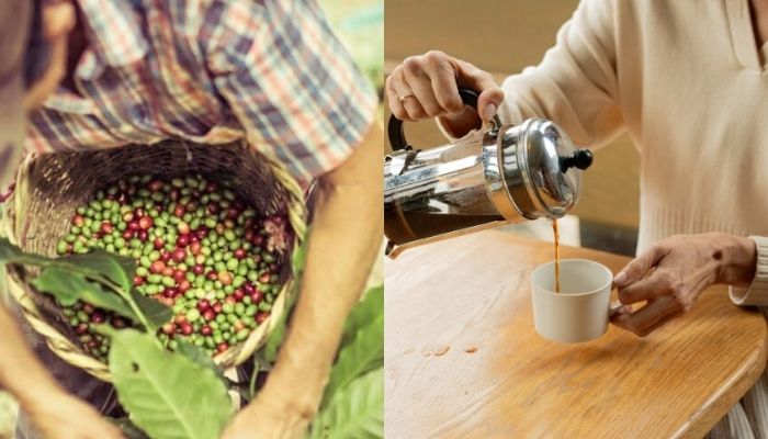 World first eco-friendly coffee nominated for award