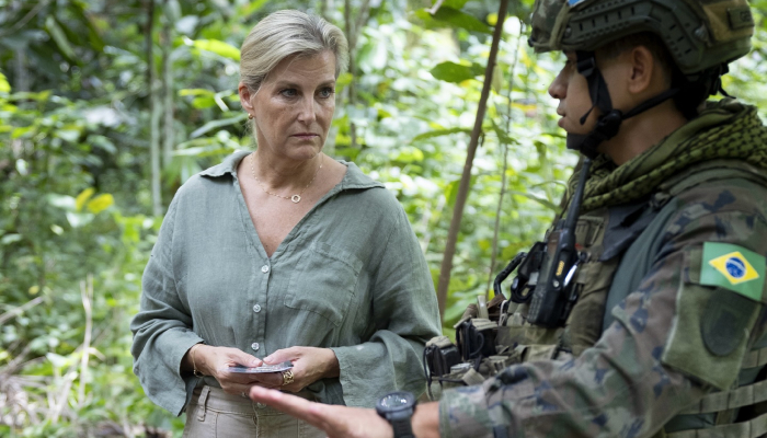 Buckingham Palace issues key update on Duchess Sophie crucial mission