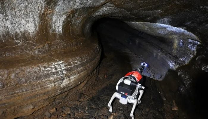 China trains robot dogs for lunar missions as NASA pushes ahead with Artemis II