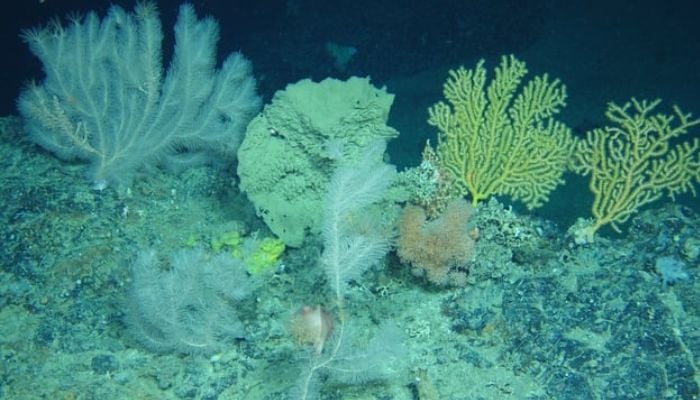 Earth crosses first-ever critical climate threshold, scientists warn