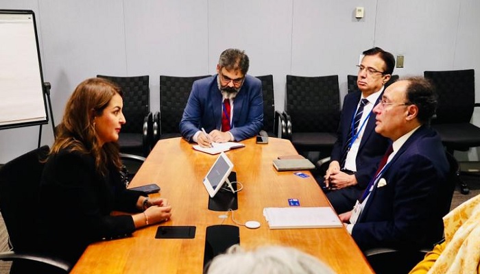 Federal Minister for Finance and Revenue, Senator Muhammad Aurangzeb, speaks during a meeting with Dr Hajar El Haddaoui, Director General of the Digital Cooperation Organisation (DCO), in Washington, DC. — X/Financegovpk