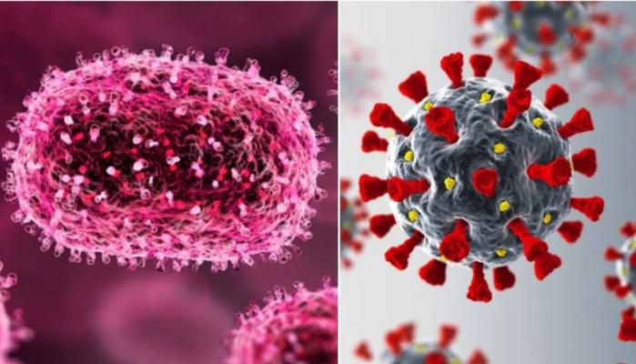 Mpox rare new strain Clade I is potentially spreading across L.A., health experts warn it could be more dangerous than previous strain Clade II