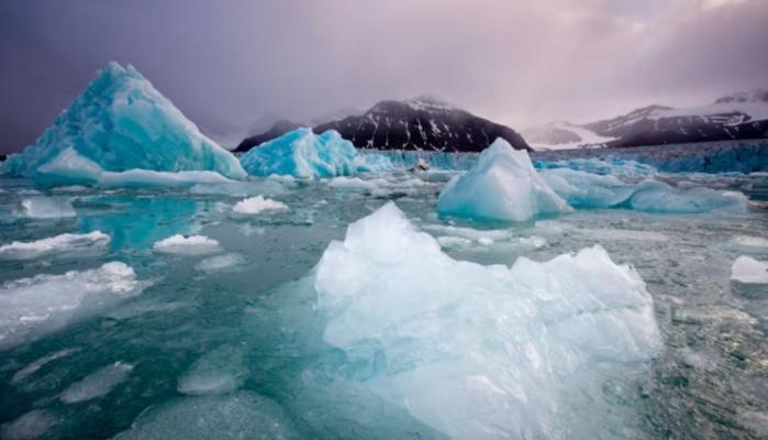 ‘Impossible’ life discovery under Arctic ice could change climate science