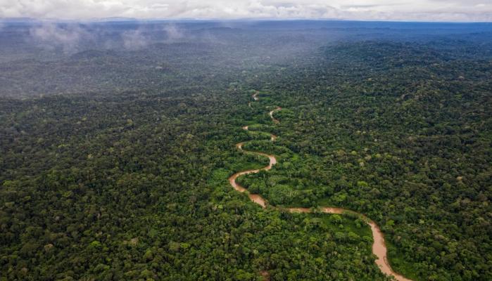 Brazil launches Amazon climate ‘time machine’ ahead of COP30