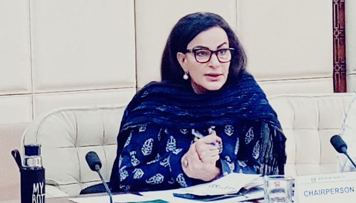 Chairperson of the Senate Standing Committee on Climate Change and Environmental Coordination Senator Sherry Rehman. — APP/File