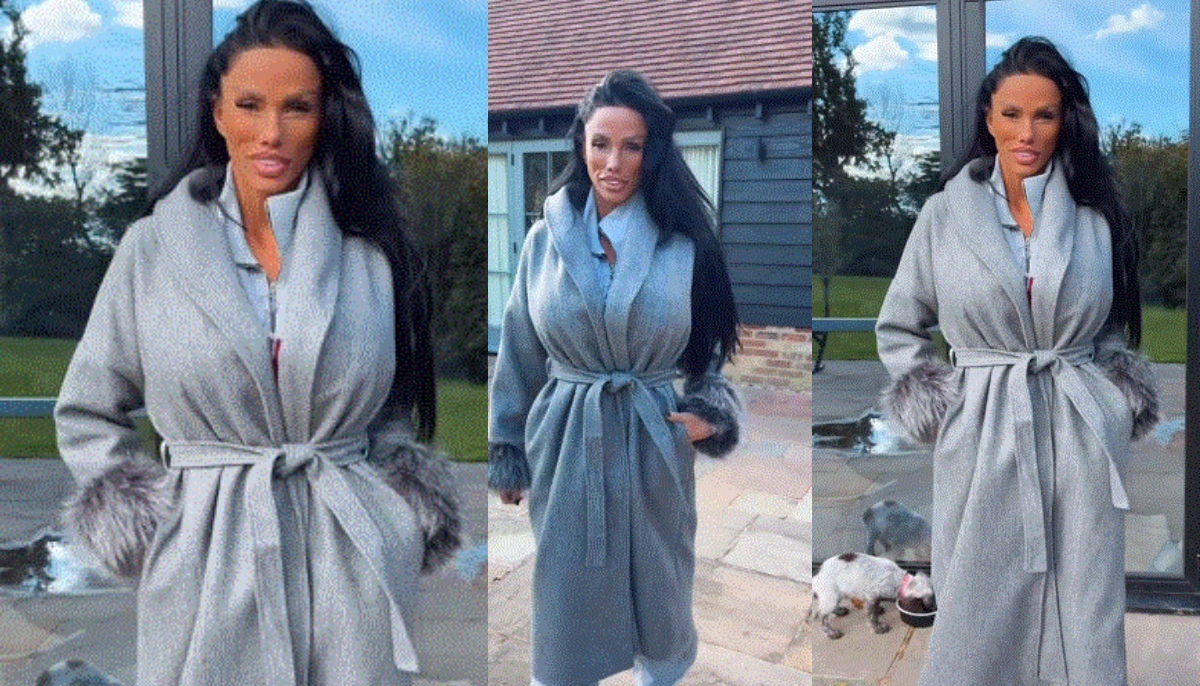 Katie Price slammed over shocking puppy video