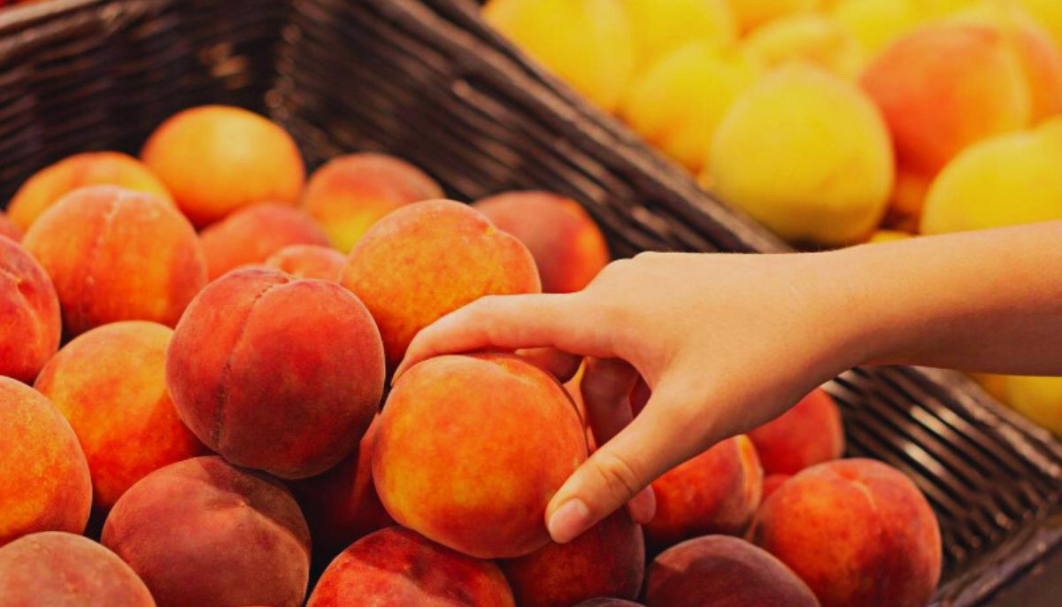 Popular fruit sold nationwide, recalled over Listeria
