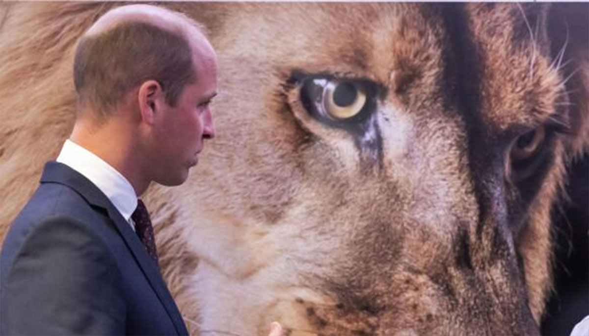 Prince William expands ranger rescue plan