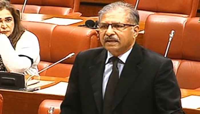 Pakistan Tehreek-e-Insafs (PTI) Senator Ali Zafar speaks during a Senate session, Islamabad, November 9, 2025. — Screengrab via YouTube/Geo News