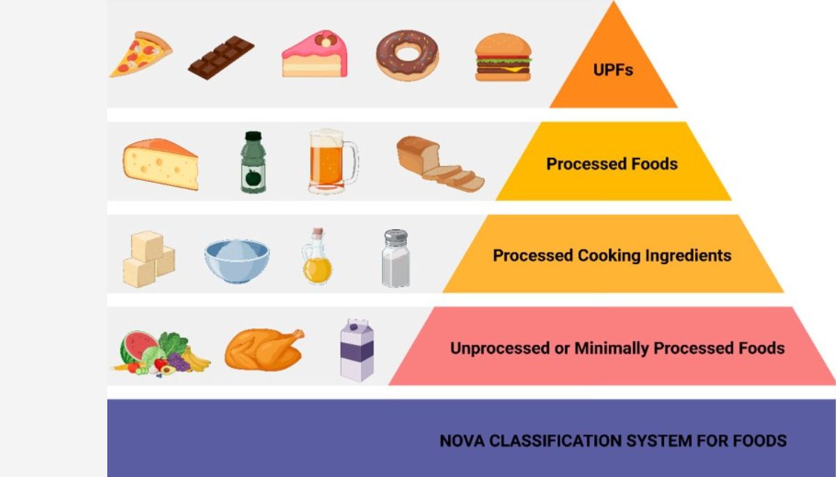 Experts warn Ultra-Processed Foods linked to obesity, diabetes, heart disease