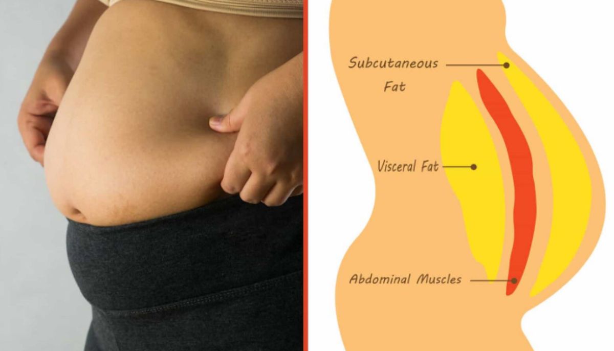 محققین کا دعویٰ ہے کہ جسم میں بصری چربی دماغی عمر بڑھنے اور دماغی بیماریوں کو متحرک کرتی ہے