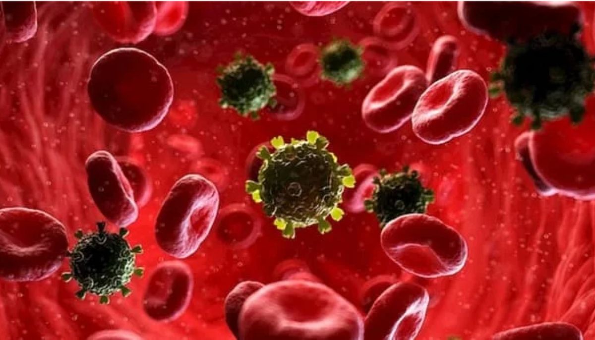 2024 میں ایچ آئی وی/ایڈز نے عالمی سطح پر 630،000 کی جانوں کا دعوی کیا