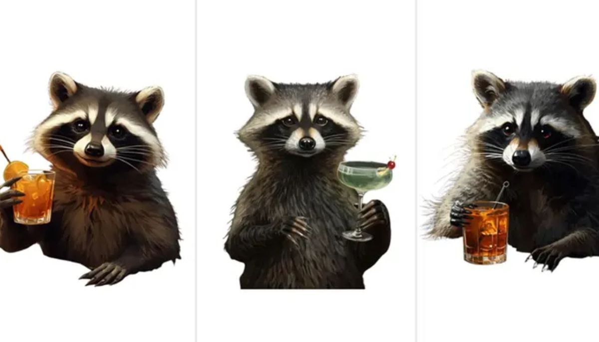 Viral:why SNL star dressing up as raccoon has left internet frenzy