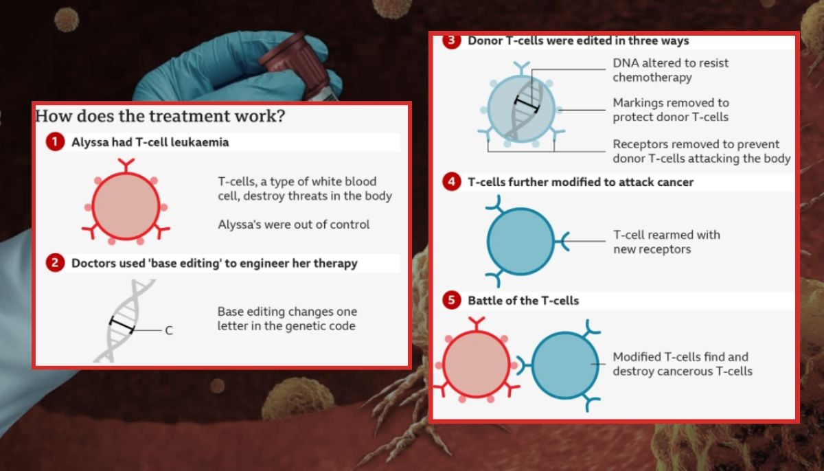 Doctors at University College London UCL and Great Ormond Street Hospital used technology for treating blood cancer called ‘base editing.’