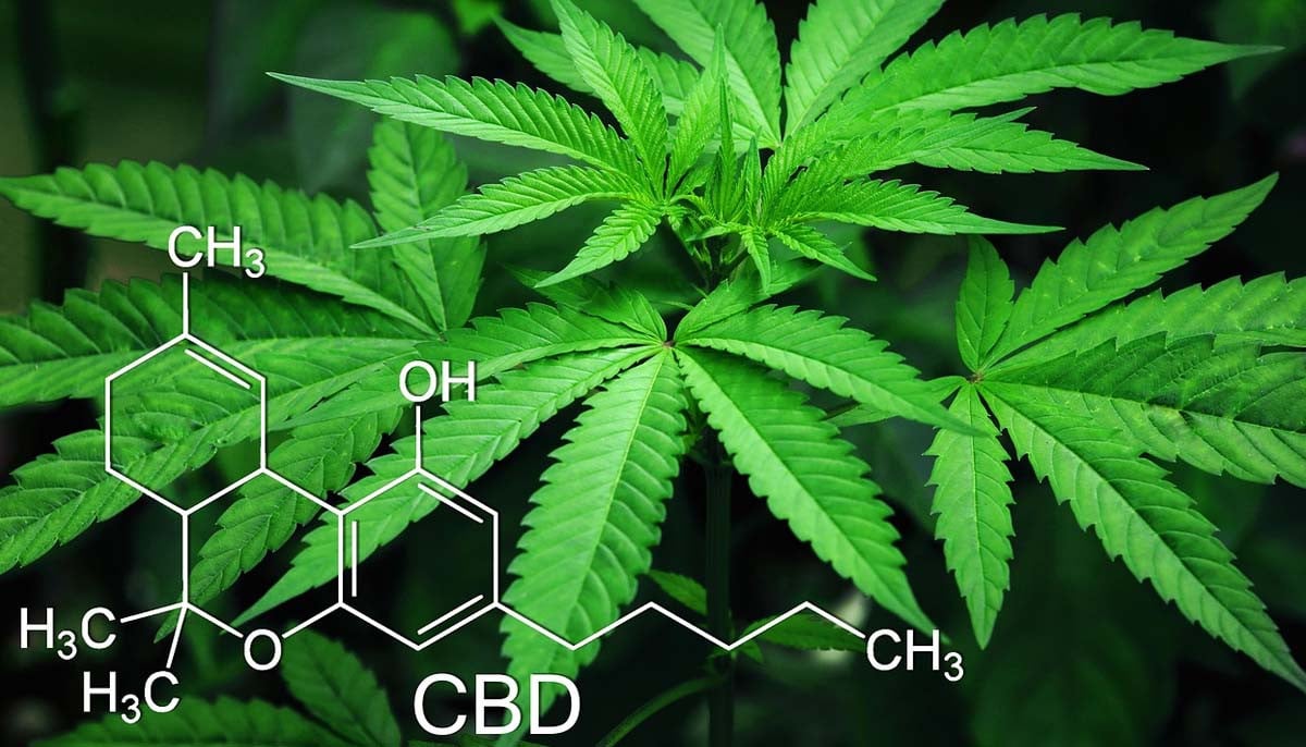 Medicinal cannabis altering sleep patterns