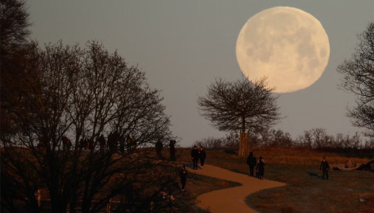 Wolf Moon 2026: Stunning images of first supermoon dazzling skies across the globe