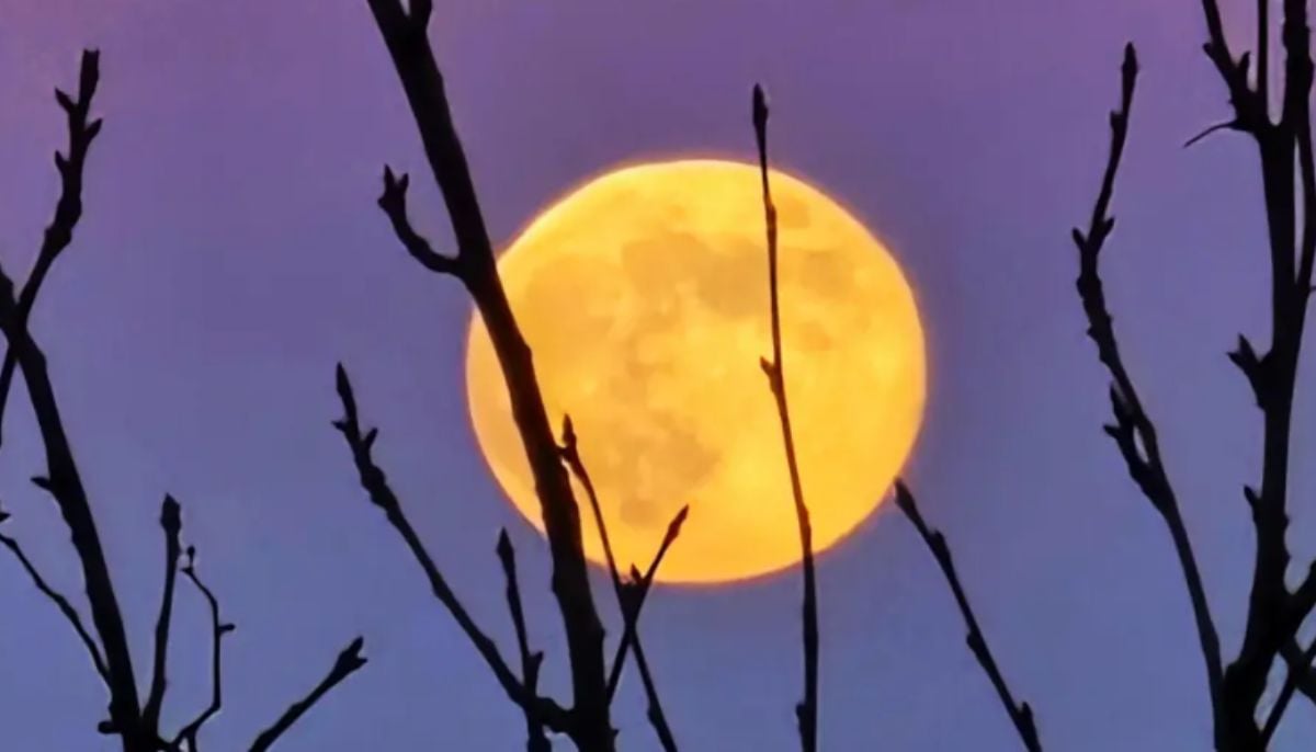 Wolf Moon 2026: Stunning images of first supermoon dazzling skies across the globe