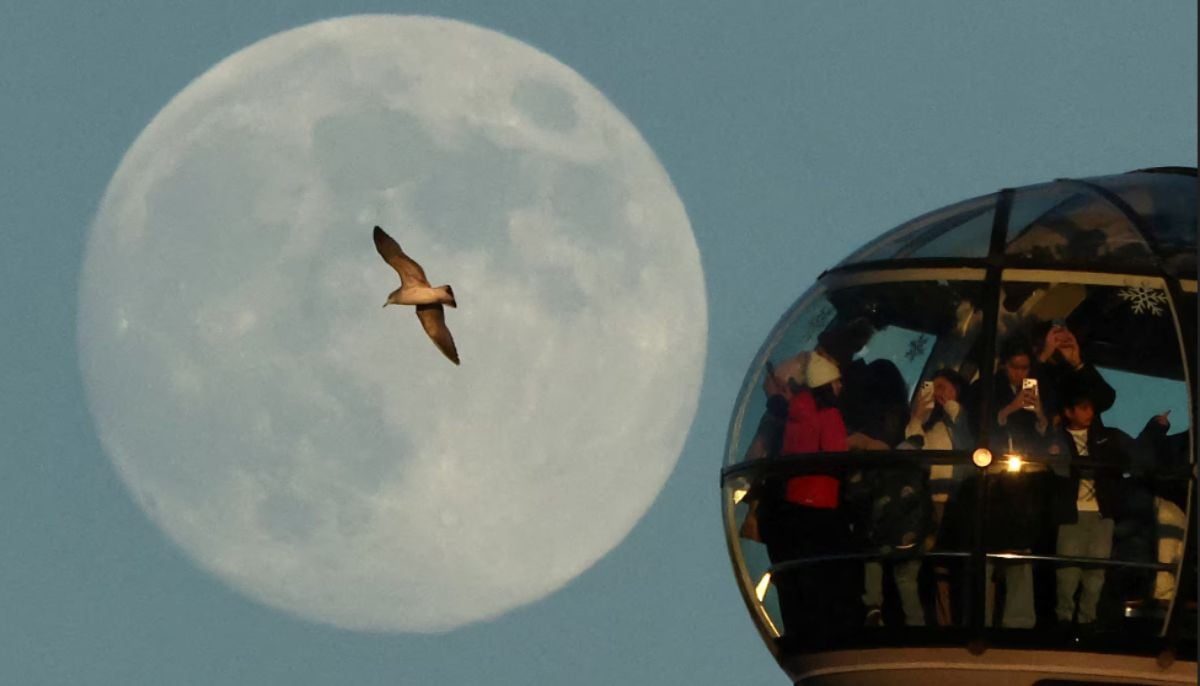 Wolf Moon 2026: Stunning images of first supermoon dazzling skies across the globe