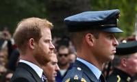 Prince William to give Prince Harry cold shoulder in US visit 