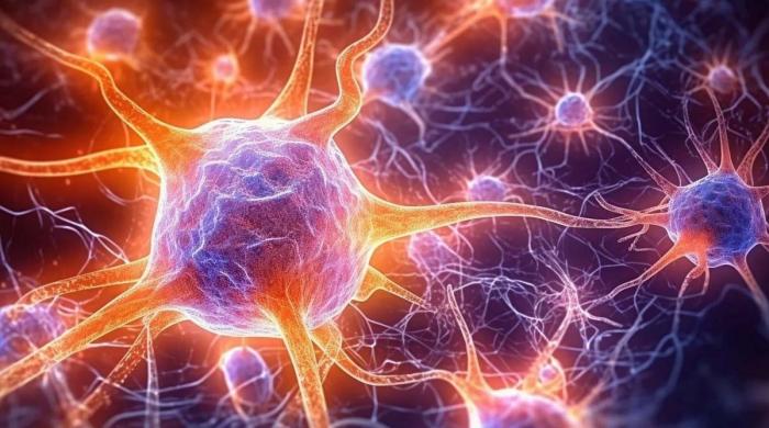 New research reveals Iron deficiency could lead to Parkinson's disease