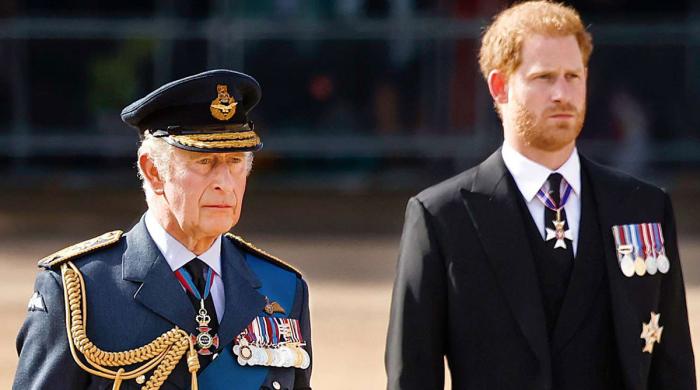 King Charles urged to seriously think about Prince Harry issue: 'Not a decent fellow anymore'