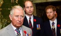 Prince Harry Plans To Reunite With William Amid Desperate Plea To King Charles?