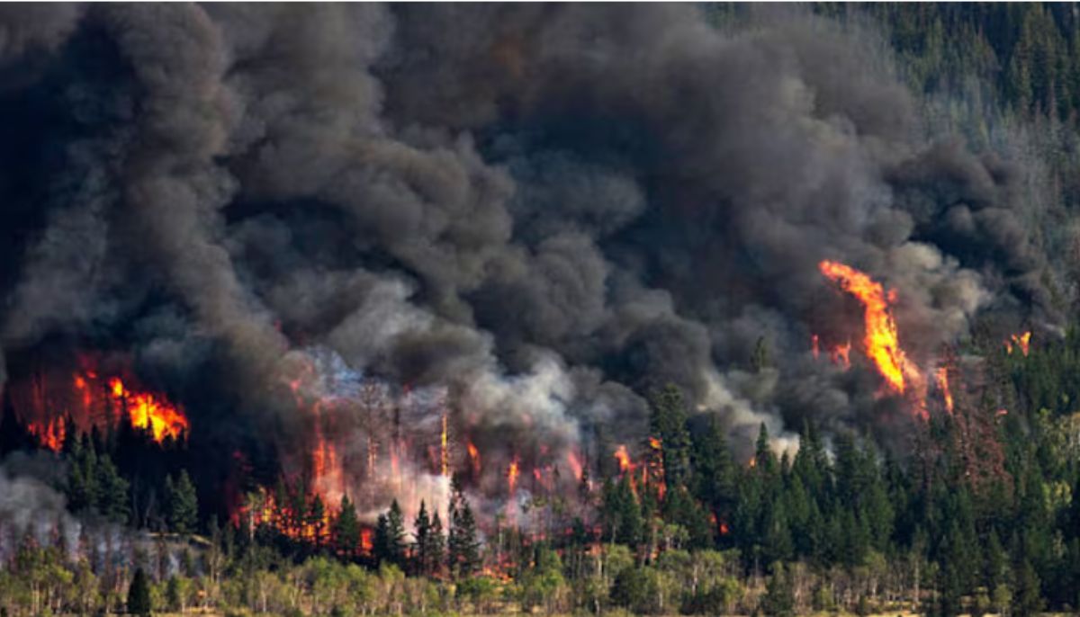 Wildfires are contributing 21% more air pollution than what scientists estimate