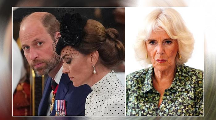 Queen Camilla turns territorial and panicked seeing ruthlessness