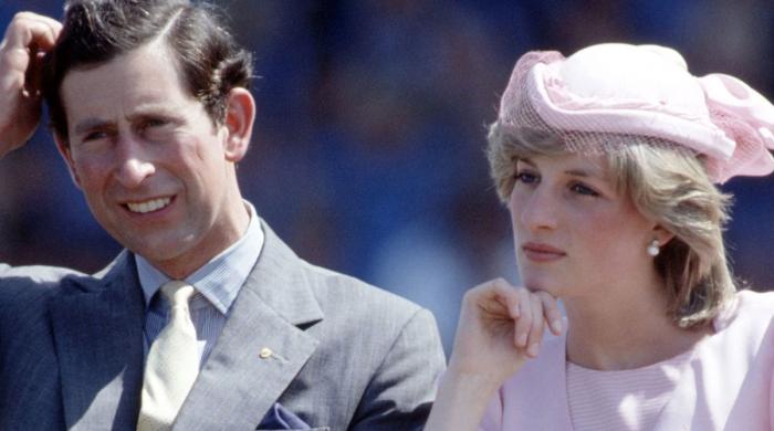 Royal expert makes explosive claims about Diana during King Charles' marriage 