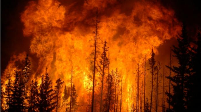 Wildfires are polluting our environment more than we thought: Find out how