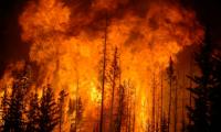 Wildfires are polluting our environment more than we thought: Find out how