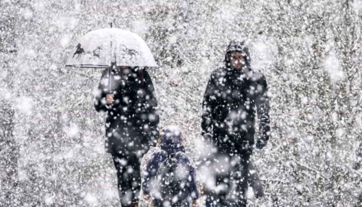 How to survive Snowstorm: Essentials preps, travel guide, driving tips explained