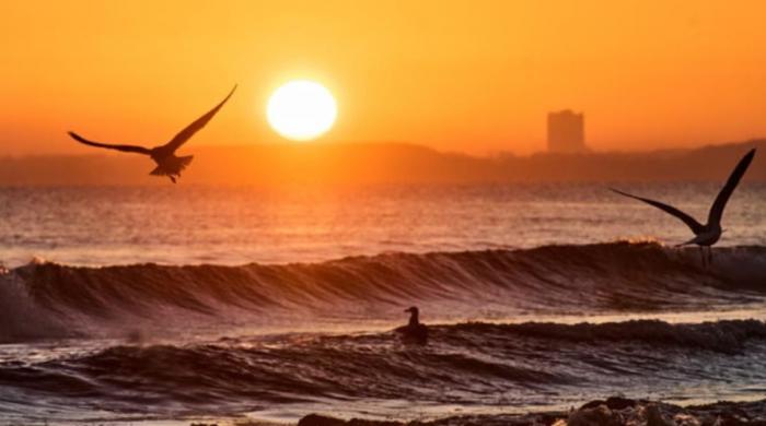 World oceans absorbed record heat in 2025, may trigger intense climate crises, says report