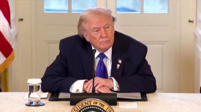 US Arctic strategy: Trump threatens to take Greenland ‘the hard way’ 