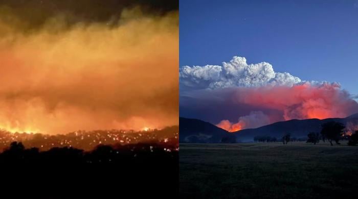 Australia on alert: State of disaster declared as Victoria’s bushfires rage