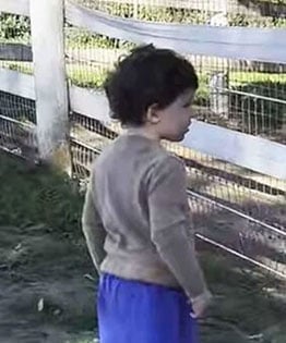 Prince William gears up for a slap to the face as Prince Harry awaits second win