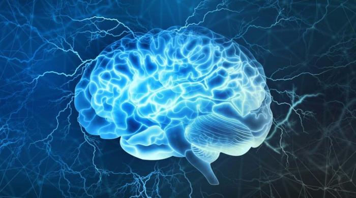 How you can protect yourself from Alzheimer's at the comfort of your home