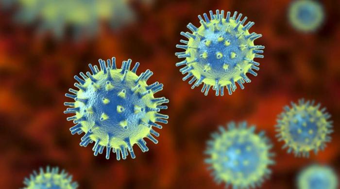 Three viruses you need to watch out for in 2026 