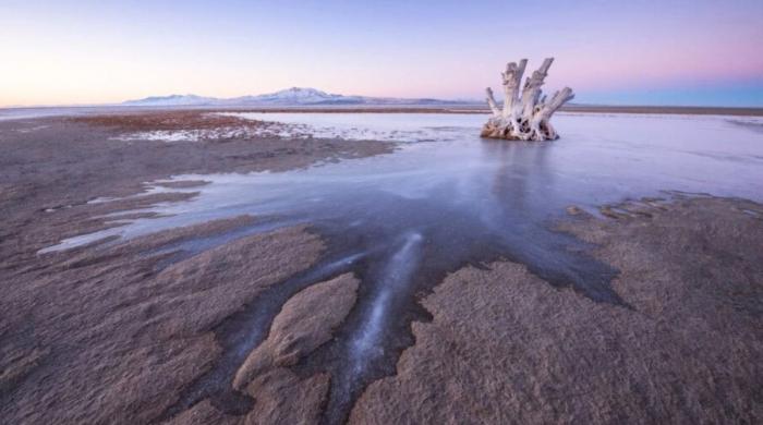 Scientists discovered never-before-seen creature in Great Salt Lake