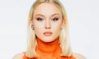 Zara Larsson makes provocative political statement 