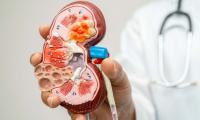 Kidney damage is now reversible: here's where science stands 