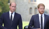 Inside Prince William's secret 'war plan' against Harry